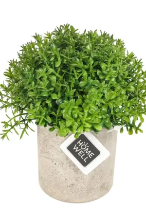 Offerta Del Giorno Copia para checkout enviame