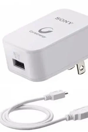 Cargador Sony Cable Usb Carga Rapida 2.1A - CP-AD2 Saldi