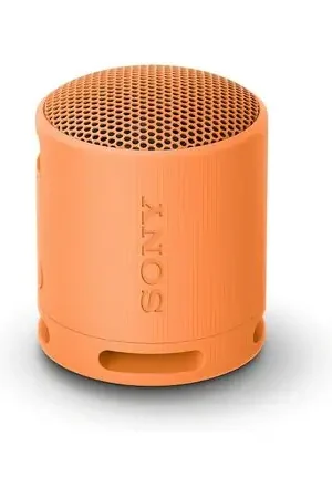 Compra Oggi Stesso Sony Srs-Xb100 Altavoz De Viaje Inalámbrico Bluetooth , Ip67, Batería De 16 H Y Llamadas