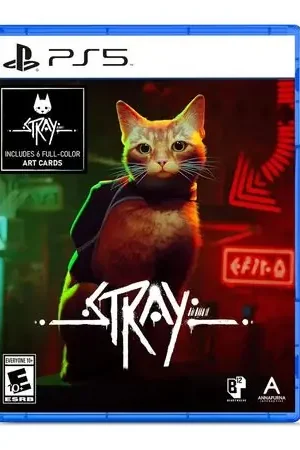 All’Ingrosso Stray - Playstation 5
