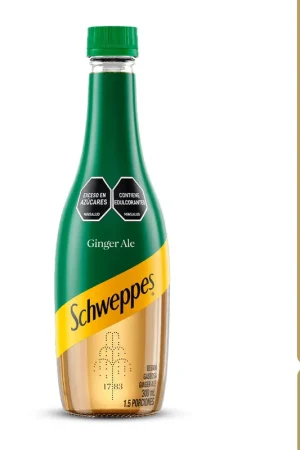 Bestseller Gaseosa Schweppes ginger ale x 300 ml