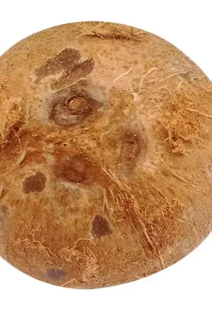 Acquista Ora Coco x800gr