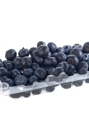 All’Ingrosso Arándanos Orgánico Cielo Azul x250gr