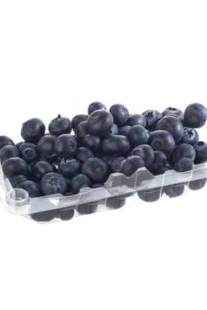 Arándanos Kosher x250gr Spedito Oggi