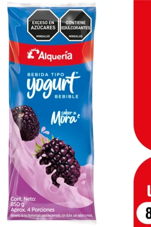 Bebida tipo yogurt Alqueria Mora bolsa 850 gr Artigianale