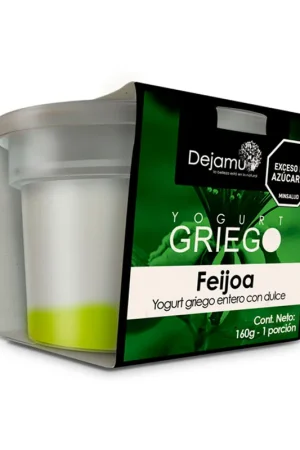 Affare Yogurt griego Dejamu feijoa x160g
