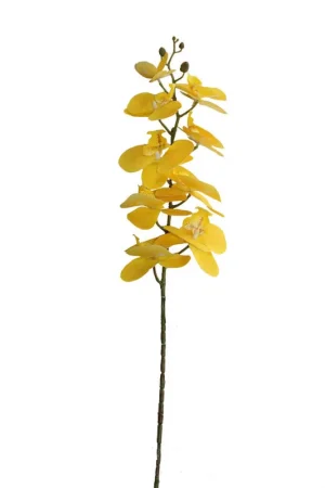Autentico Orquidea Gio Home 3D Amarillo 95 cm