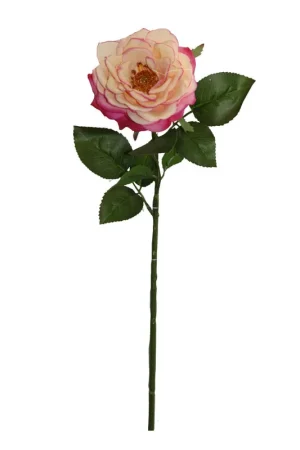 Compra Adesso Rosa Gio Home Blanco Rosado Melocoton 59 cm
