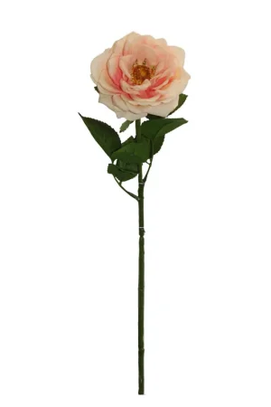 Compra Adesso Rosa Gio Home Blanco Melocoton 59 cm