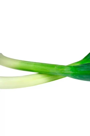 Ultimissimo Modello Cebolla Puerro x 500gr