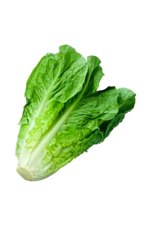 Compra Adesso Lechuga romana ecológica x120gr