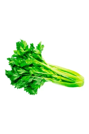 Apio ecológico malla x300gr Super Prezzo