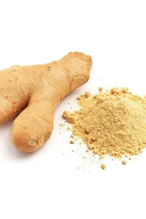 All’Ingrosso Jengibre en polvo deshidratado x15gr