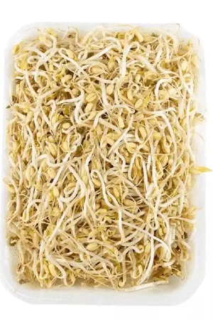 Acquista Ora Raíz China x150gr