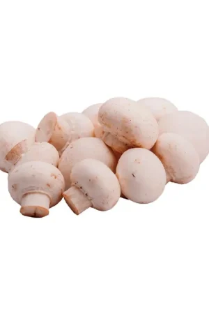 Champiñón Entero x500gr Prezzo Scontato