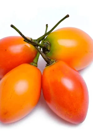 Compra Online Tomate de árbol x500g