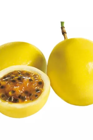Bestseller Maracuyá malla x500g
