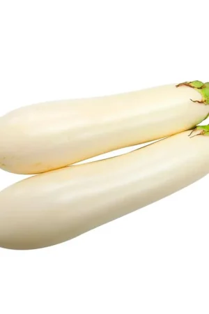 Certificato Berenjena blanca