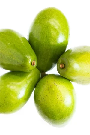 Aguacate injerto x unidad Quantità Limitata