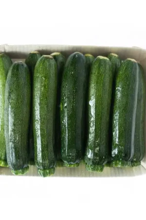 Consegna Rapida Zuchinni Cuisine & Co x500gr