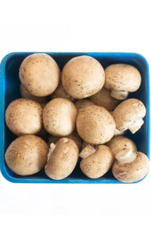 Champiñón crimini Setas doradas orgánico x250gr Economico