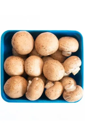 Champiñón entero orgánico setas doradas 250gr Nuovo Arrivo