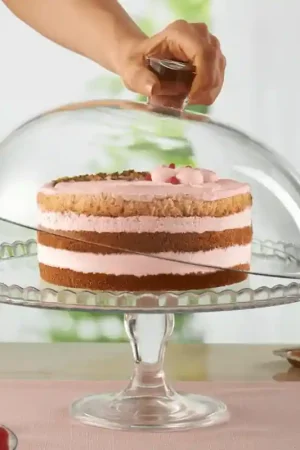 Alta Qualità Tortera Con Domo Patisserie / Pasabahce