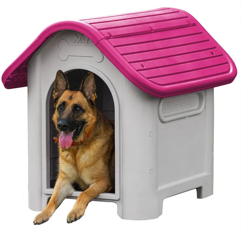 Casa para Perro Grande Magenta / MQ Garanzia Inclusa
