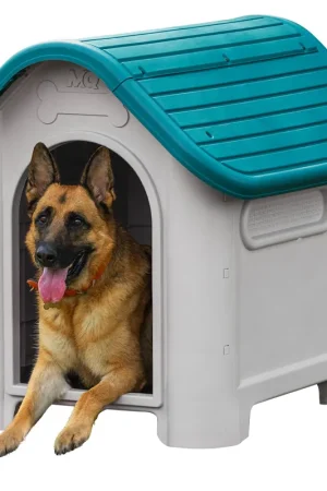 Compra Adesso Casa para Perro Grande Turquesa / MQ